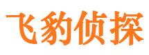 滦县市调查公司